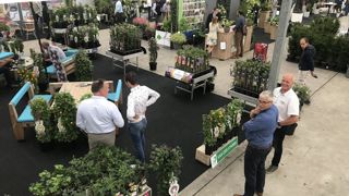 La 2e édition des Garden Trials se tiendra à Boskoop aux Pays-Bas, du 11 au 13 juin. ©GardenTrials La 2e édition des Garden Trials se tiendra à Boskoop aux Pays-Bas, du 11 au 13 juin. ©GardenTrials